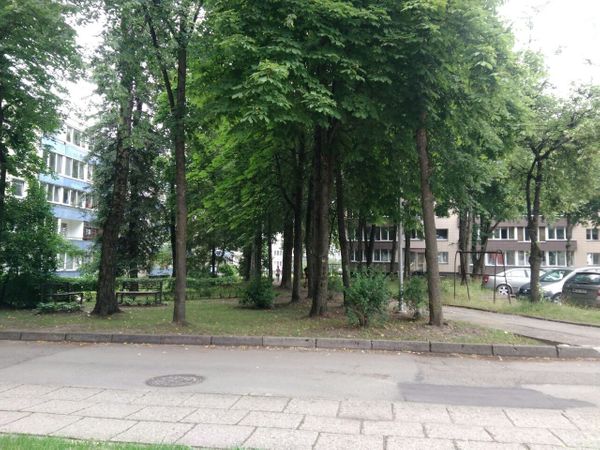 Alytus, Putinai
