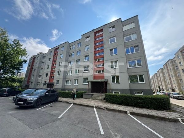 Šiauliai, Gytariai