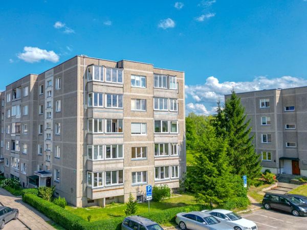 Alytus, Vidzgiris