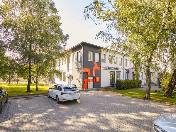 Kaunas, Dainava