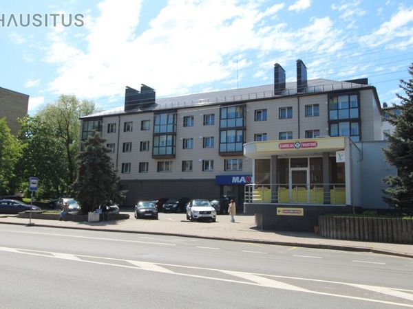 Panevėžys, Centras