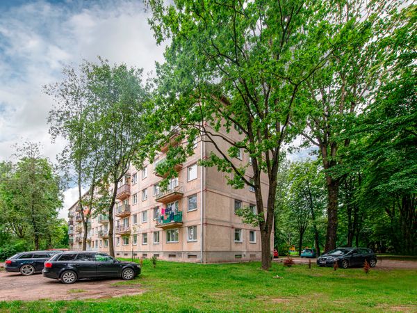 Kaunas, Dainava
