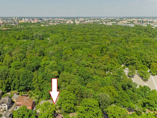 Kaunas, Žaliakalnis