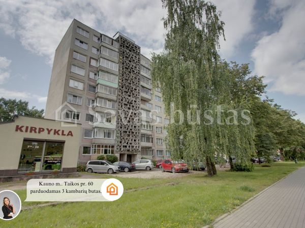 Kaunas, Dainava