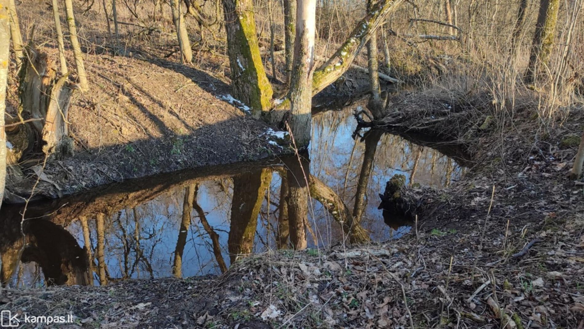 Main Image Anykščių r. sav., Mačionys