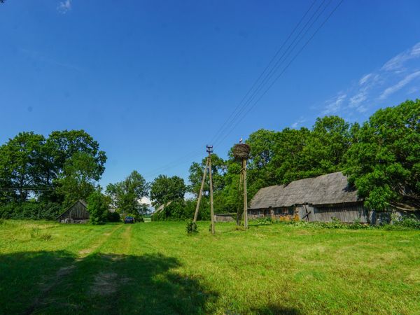 Rokiškio r. sav., Didsodė