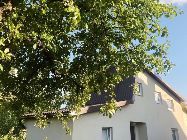 Kaunas, Dainava