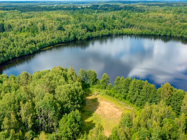 Trakų r. sav., Petrauskai