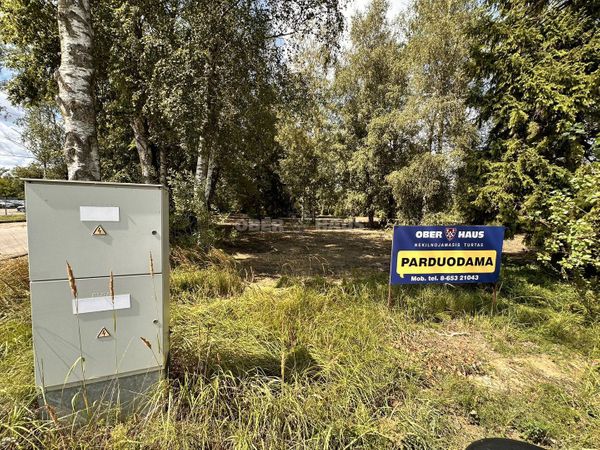 Panevėžio r. sav., Senamiestis