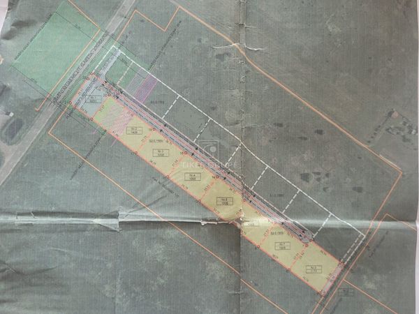 Klaipėdos r. sav., Leliai