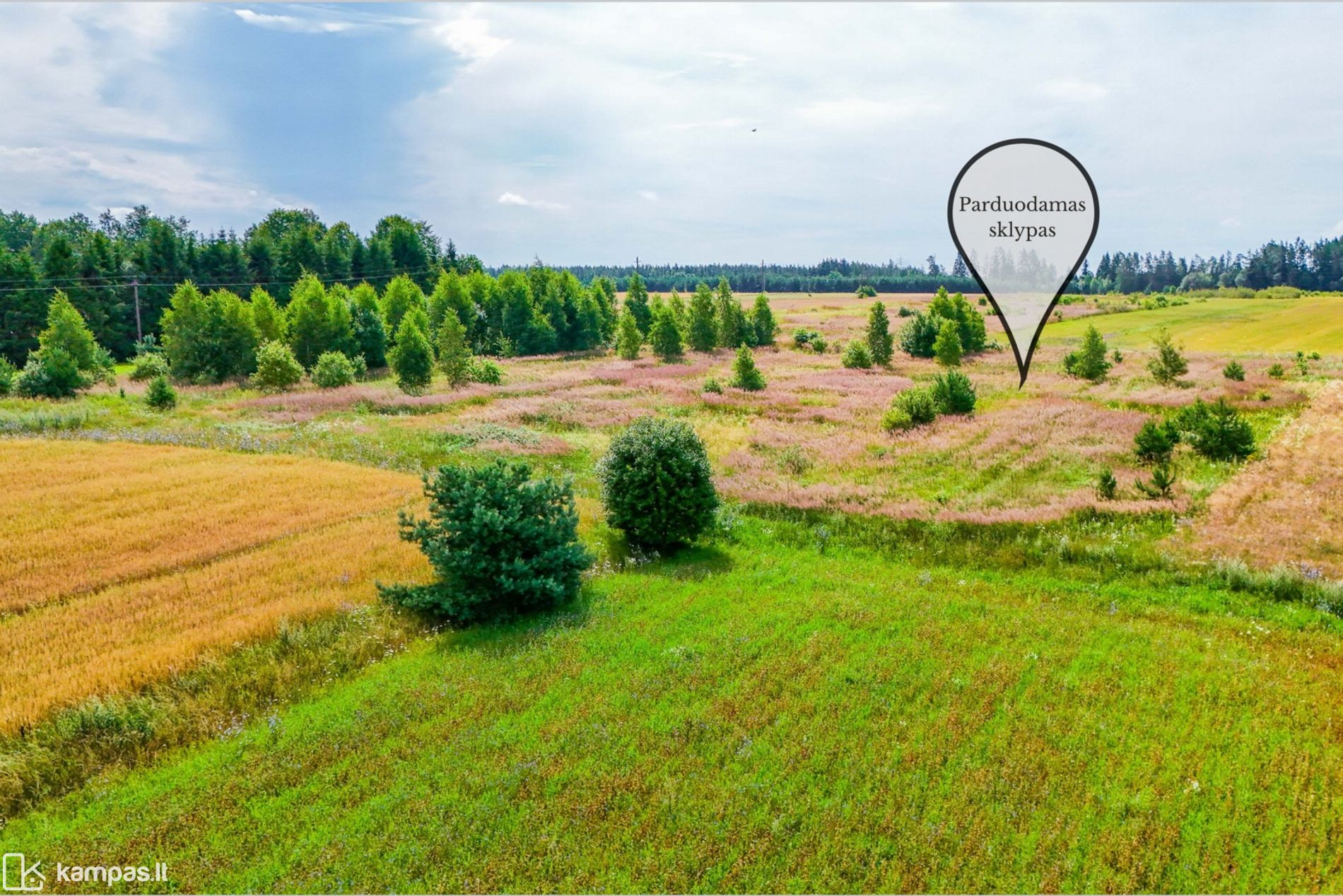 Main Image Trakų r. sav., Onuškis, Daugų g.