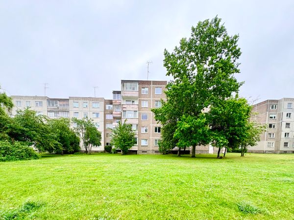 Kaunas, Kalniečiai