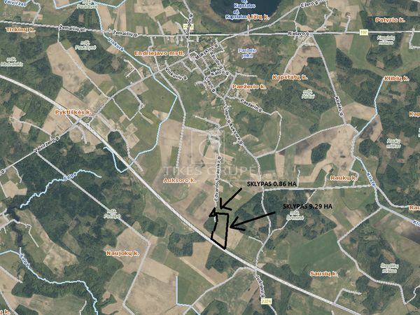 Klaipėdos r. sav., Auksoras