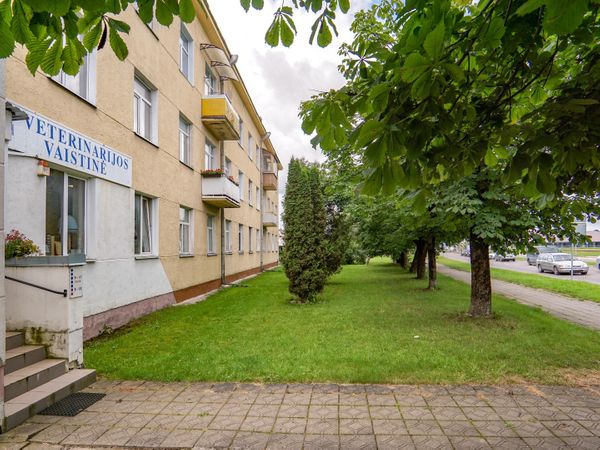 Panevėžys, Centras