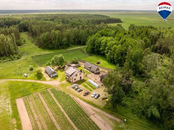 Trakų r. sav., Mamavys