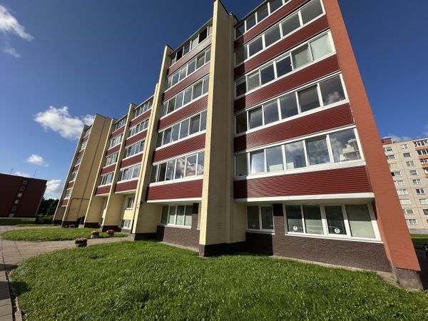 Klaipėda, Vingis