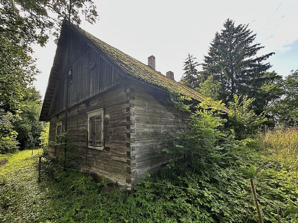 Panevėžio r. sav., Bobiniškiai