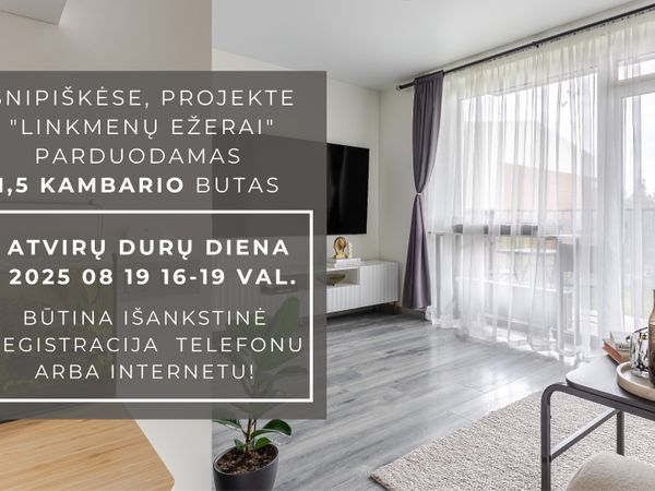 Vilnius, Šnipiškės