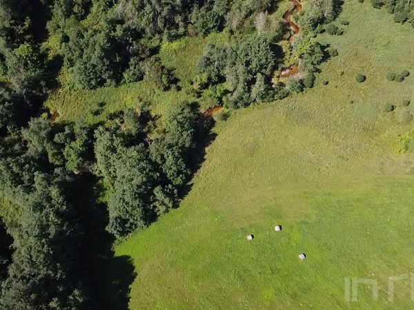 Anykščių r. sav., Pašiliai