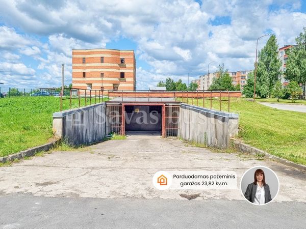 Šiauliai, Gytariai
