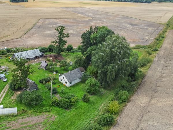 Prienų r. sav., Patašinė