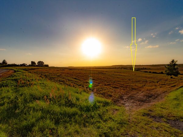 Kauno r. sav., Didžiosios Lapės