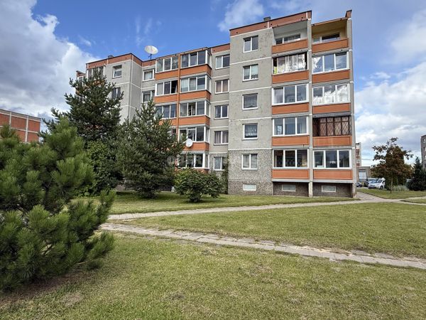 Šiauliai, Dainai
