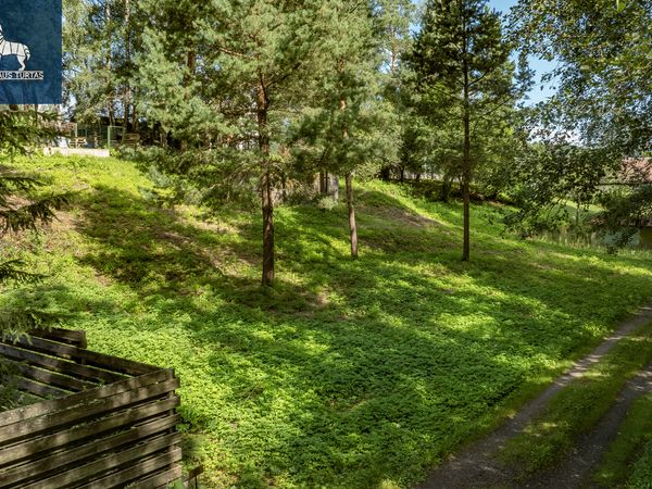 Vilnius, Balsiai