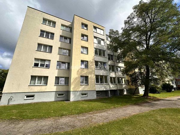 Panevėžys, Klaipėda
