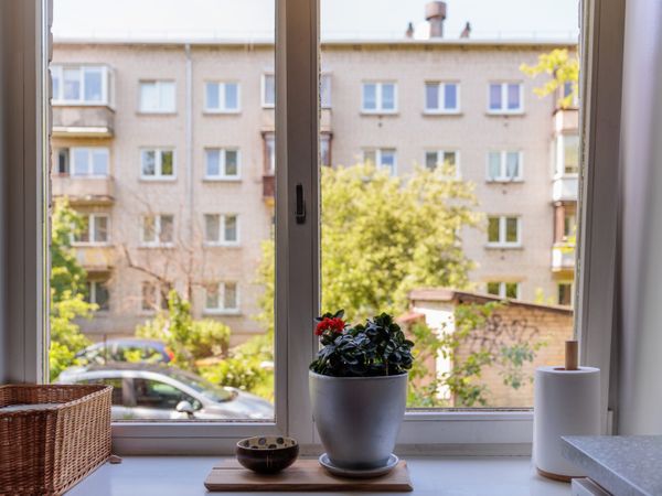 Vilnius, Naujamiestis