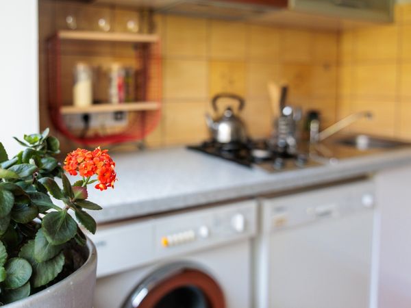 Vilnius, Naujamiestis