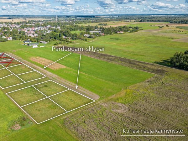 Širvintų r. sav., Širvintėlės