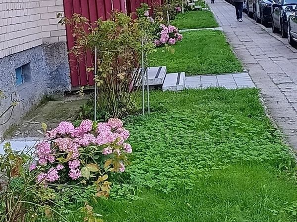 Klaipėda, Debrecenas