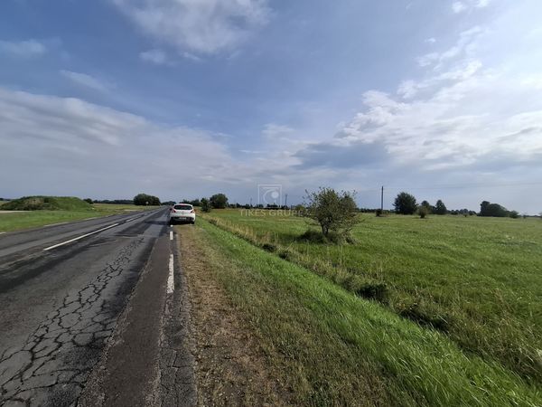 Klaipėdos r. sav., Leliai