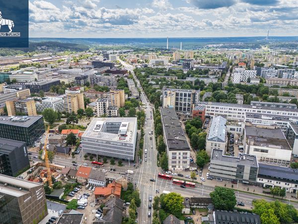 Vilnius, Naujamiestis