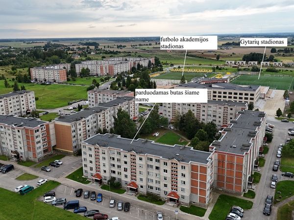 Šiauliai, Dainai