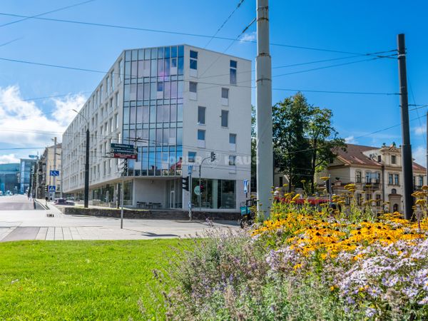 Vilnius, Naujamiestis