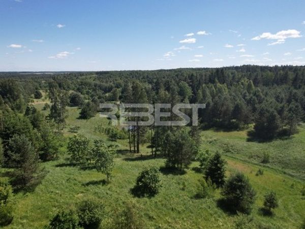 Šiaulių r. sav., Blužgalis