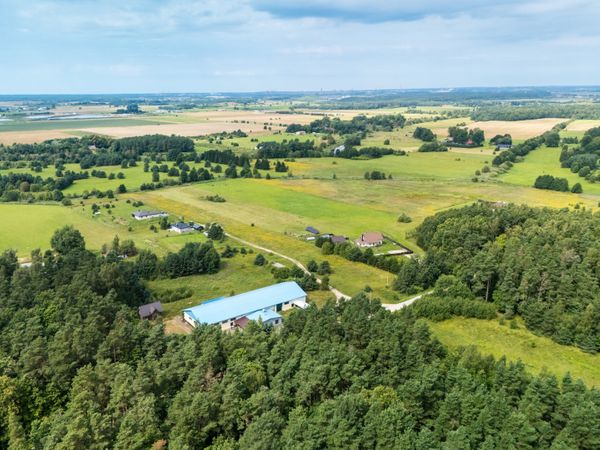 Klaipėdos r. sav., Rokai