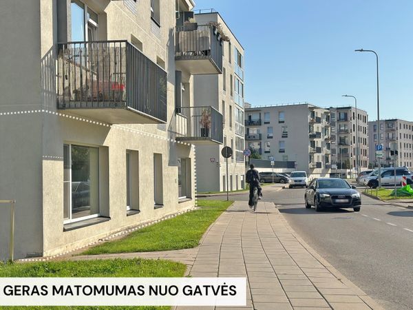 Vilnius, Baltupiai
