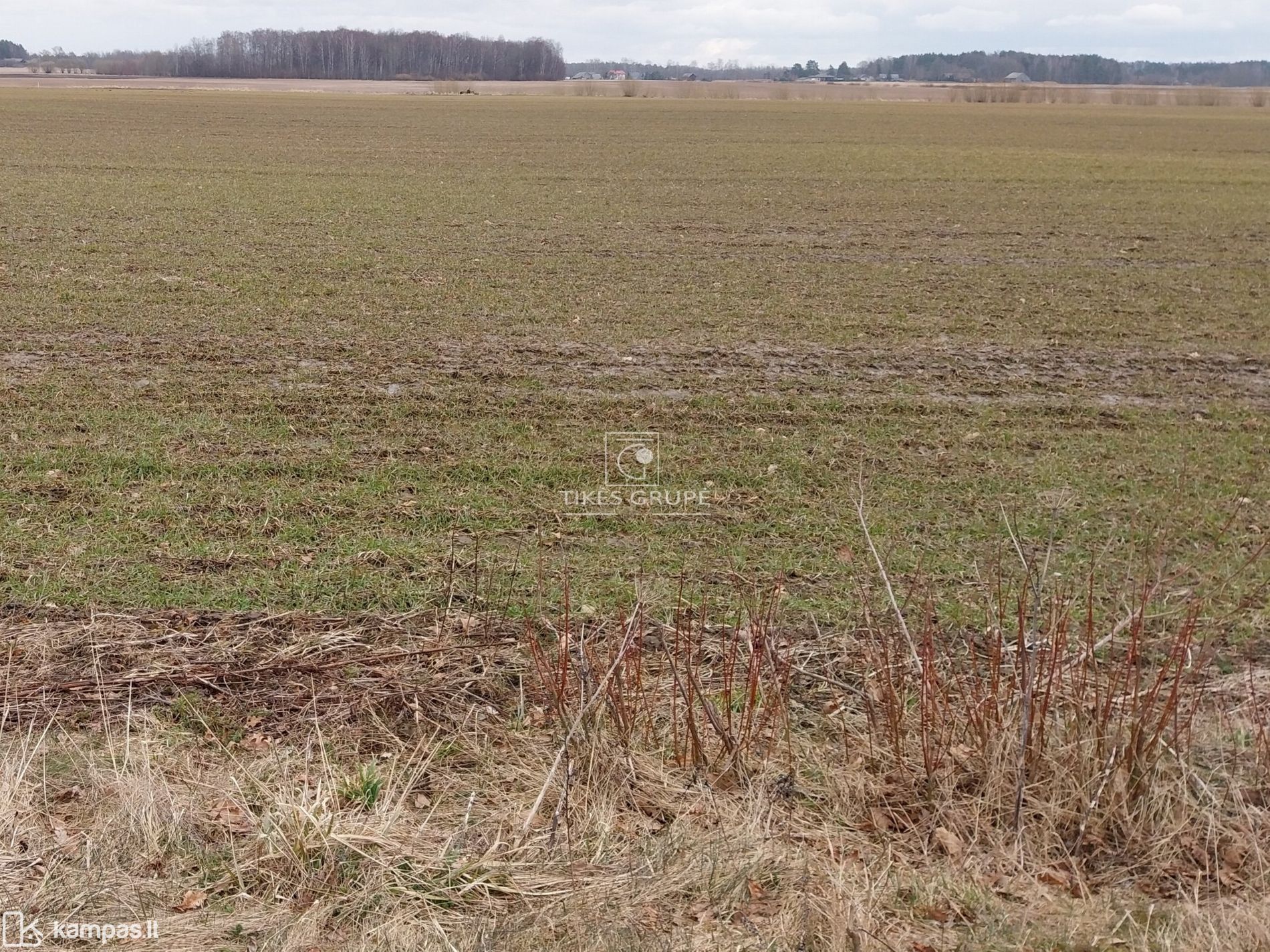 Main Image Klaipėdos r. sav., Agluonėnai, Žagarų g.