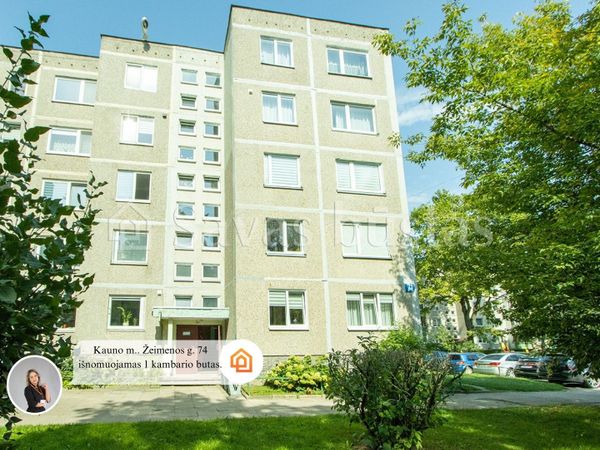 Kaunas, Eiguliai