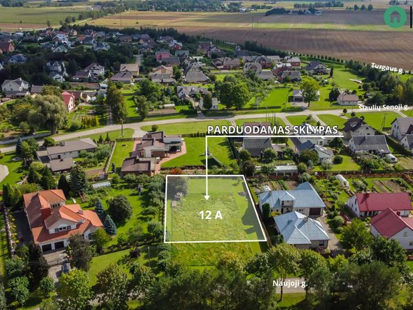Joniškio r. sav., Joniškis