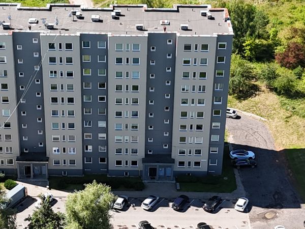 Alytus, Vidzgiris
