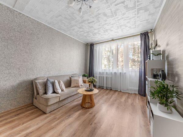 Vilnius, Šnipiškės