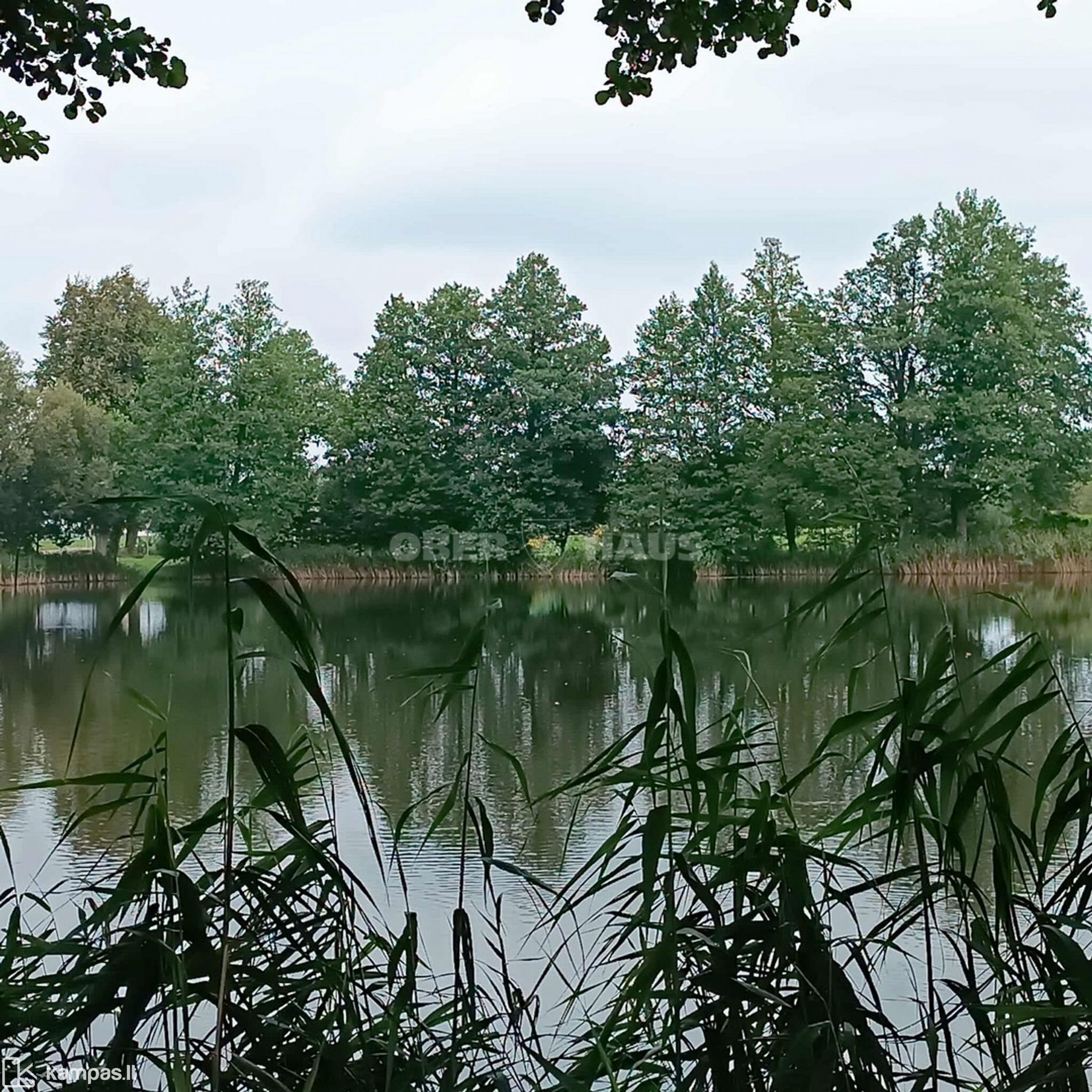 Main Image Raseinių r. sav., Pramedžiava