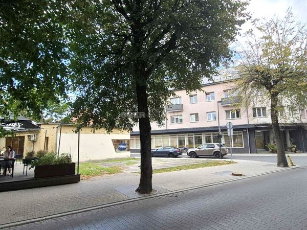Panevėžys, Centras
