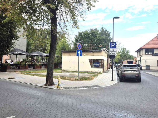 Panevėžys, Centras