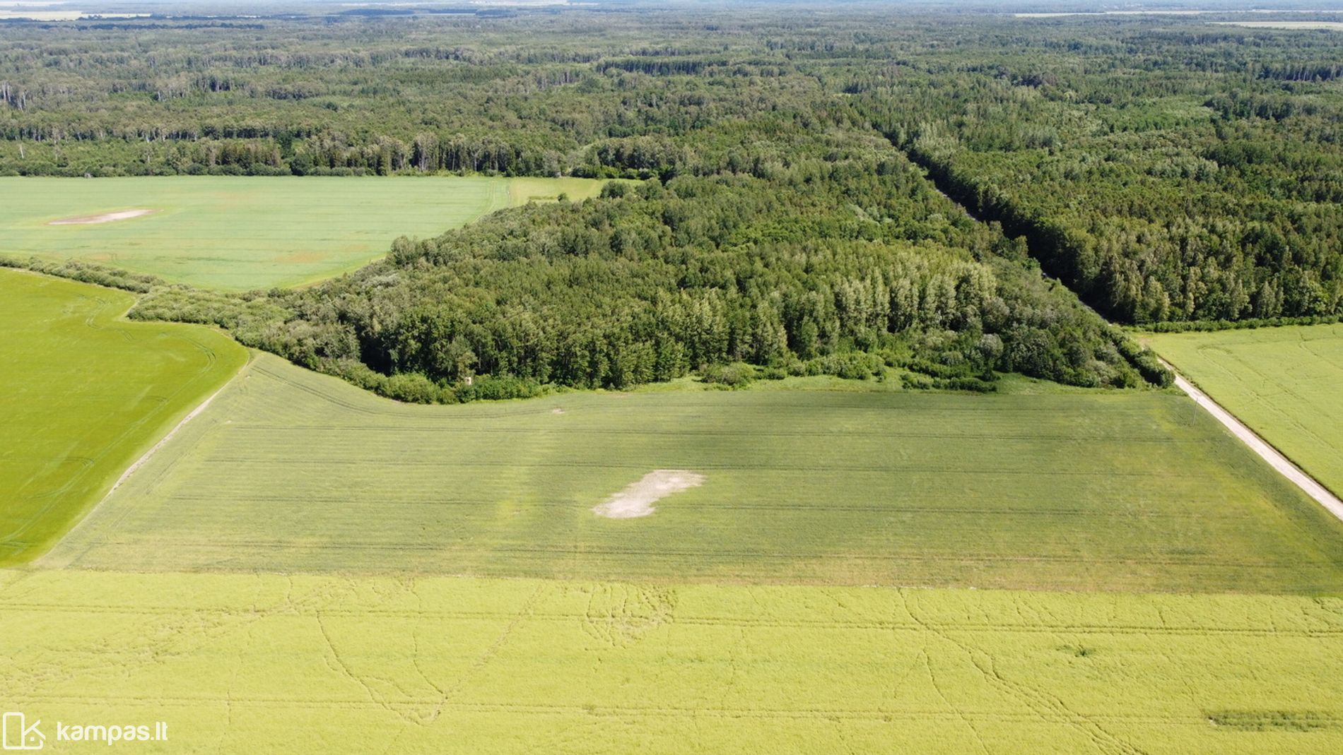 Main Image Kėdainių r. sav., Užmiškis