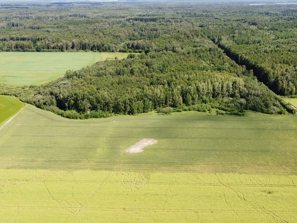 Kėdainių r. sav., Užmiškis